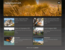 Tablet Screenshot of hasselqvist.net